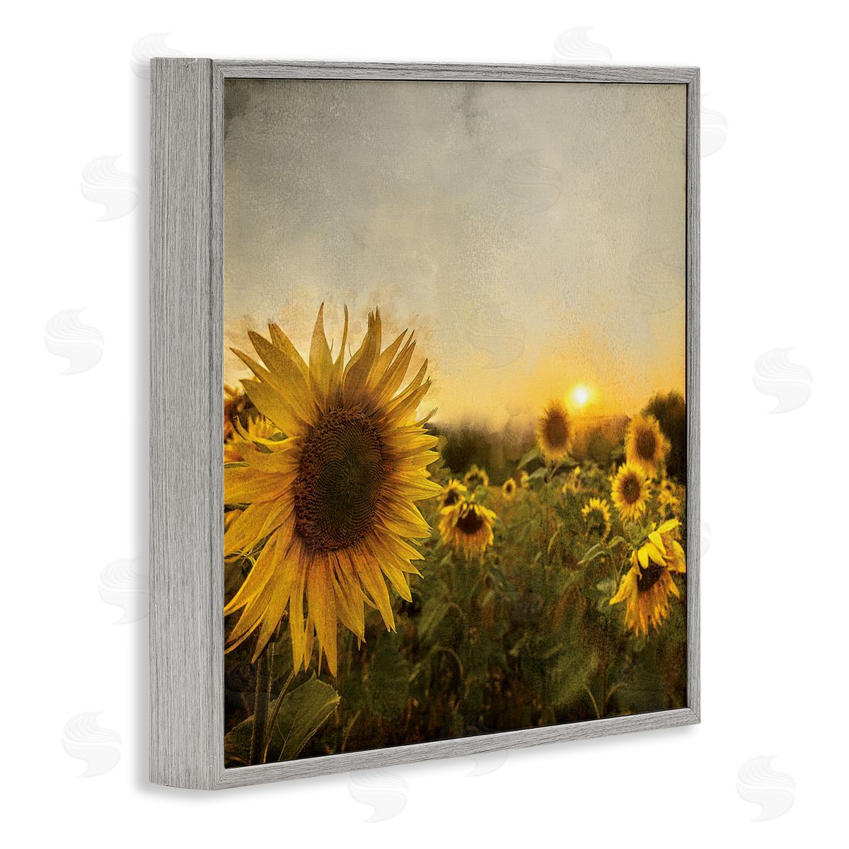 Anne Bailey Warm Sunflower Field Summer Sunset Landscape Gray Framed Glicee Wall Art Print
