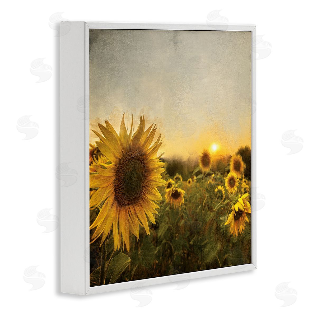 Anne Bailey Warm Sunflower Field Summer Sunset Landscape White Framed Glicee Wall Art Print