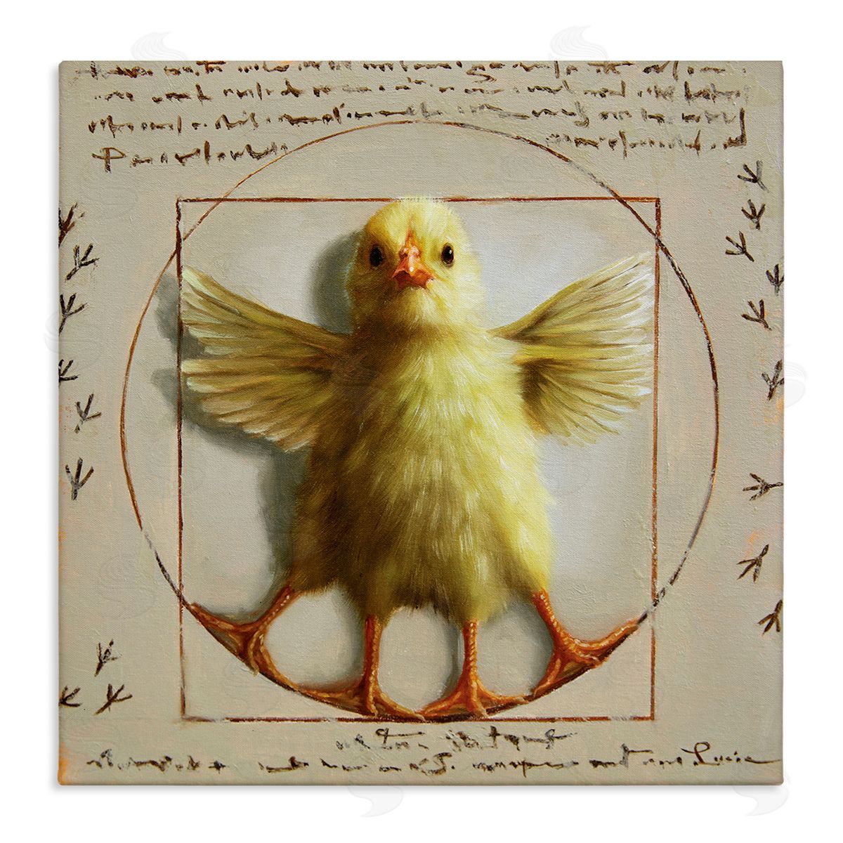 Lucia Heffernan Vitruvian Chick Baby Farm Chicken Animal Humor Stretched Canvas Wall Art Print