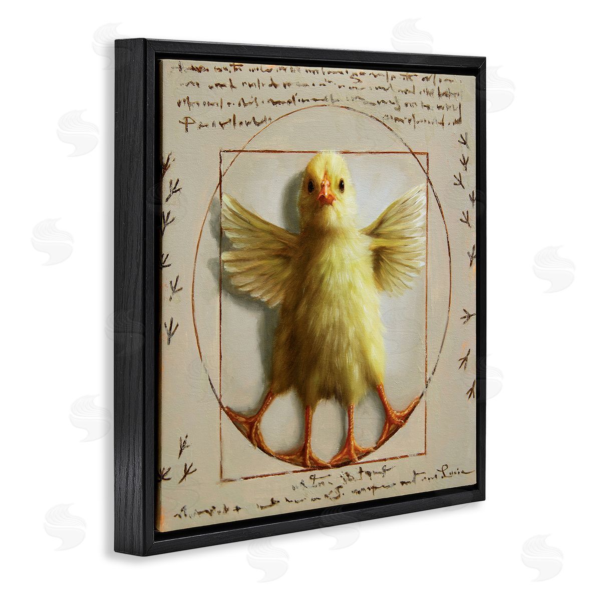 Lucia Heffernan Vitruvian Chick Baby Farm Chicken Animal Humor Black Floating Frame Canvas Wall Art Print
