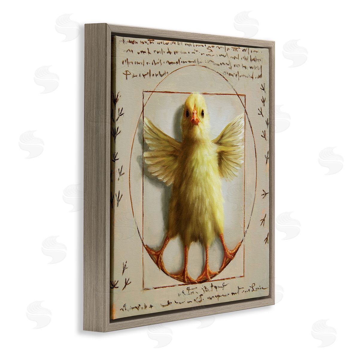 Lucia Heffernan Vitruvian Chick Baby Farm Chicken Animal Humor Brown Floating Frame Canvas Wall Art Print