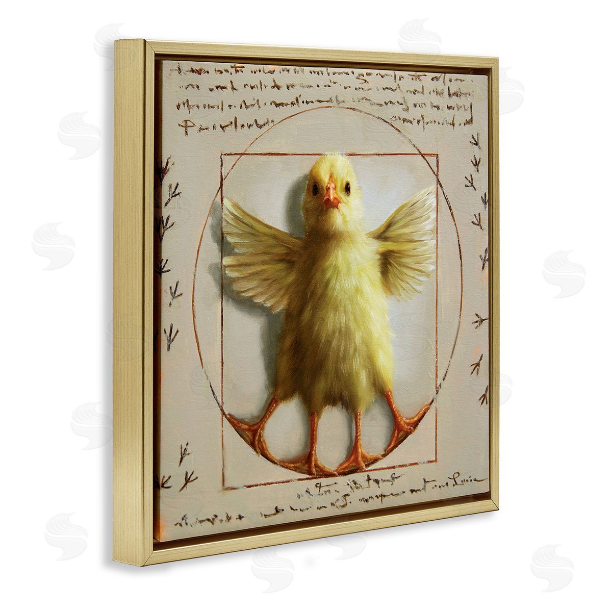 Lucia Heffernan Vitruvian Chick Baby Farm Chicken Animal Humor Gold Floating Frame Canvas Wall Art Print
