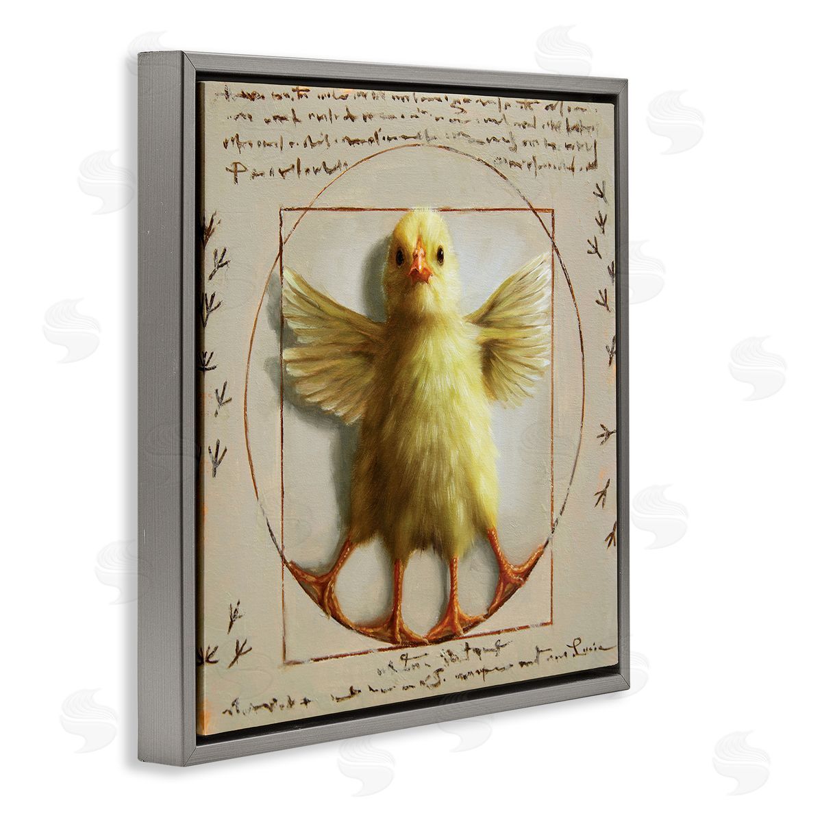 Lucia Heffernan Vitruvian Chick Baby Farm Chicken Animal Humor Gray Floating Frame Canvas Wall Art Print