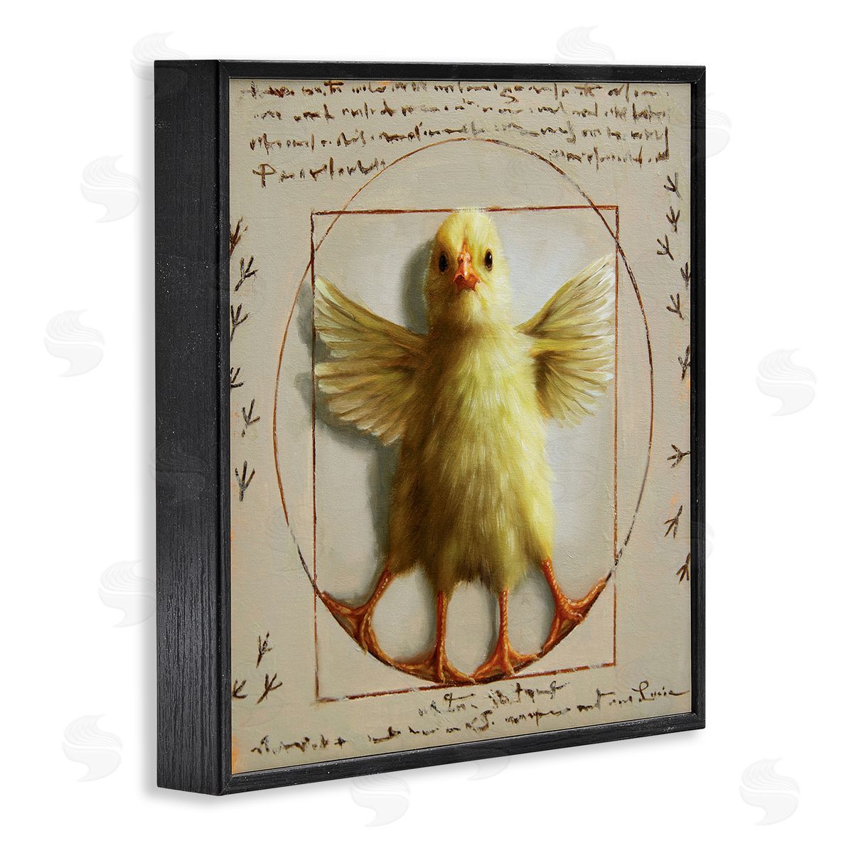 Lucia Heffernan Vitruvian Chick Baby Farm Chicken Animal Humor Black Framed Glicee Wall Art Print