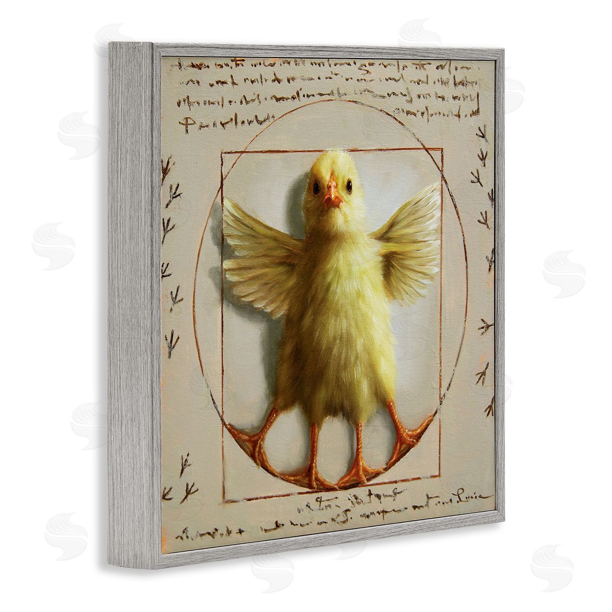 Lucia Heffernan Vitruvian Chick Baby Farm Chicken Animal Humor Gray Framed Glicee Wall Art Print