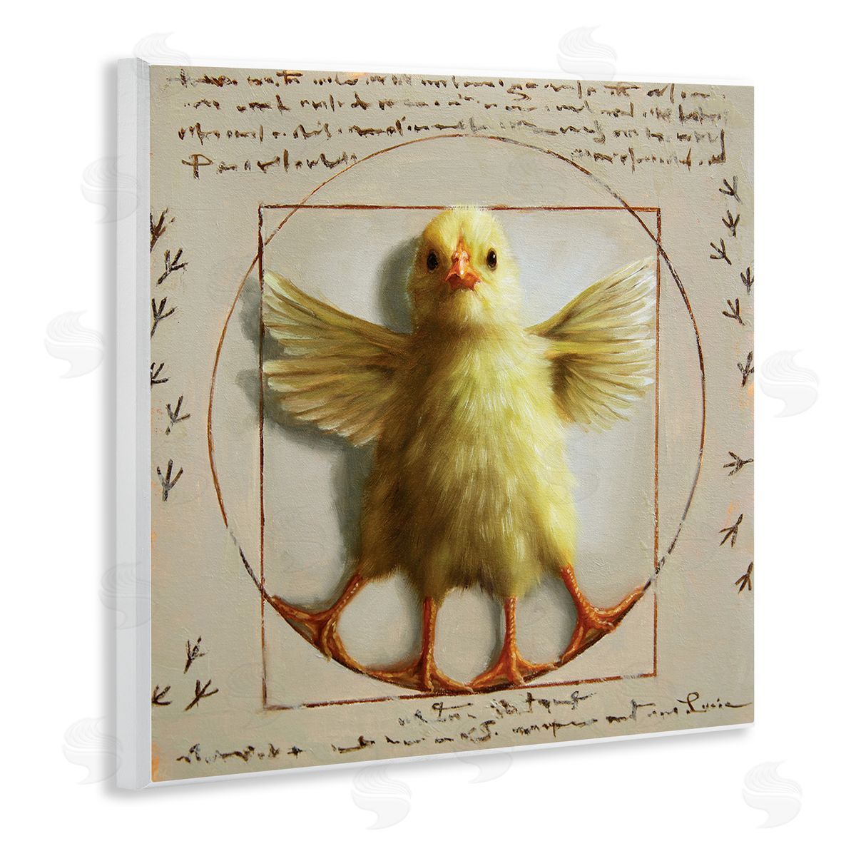 Lucia Heffernan Vitruvian Chick Baby Farm Chicken Animal Humor Wooden Wall Plaque Art Print