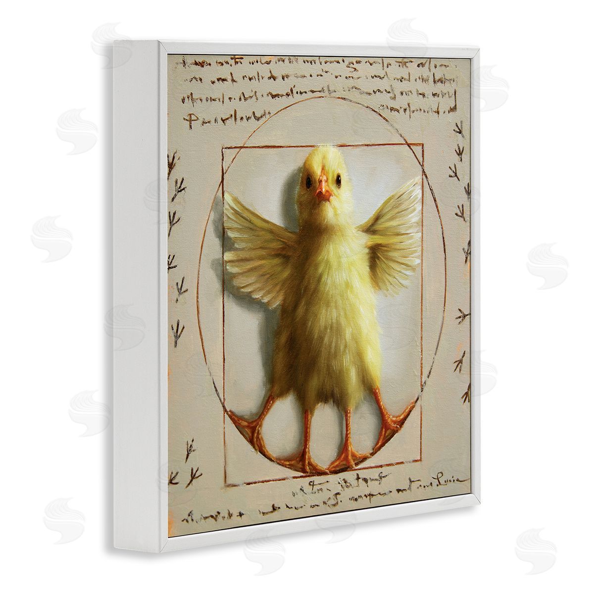 Lucia Heffernan Vitruvian Chick Baby Farm Chicken Animal Humor White Framed Glicee Wall Art Print