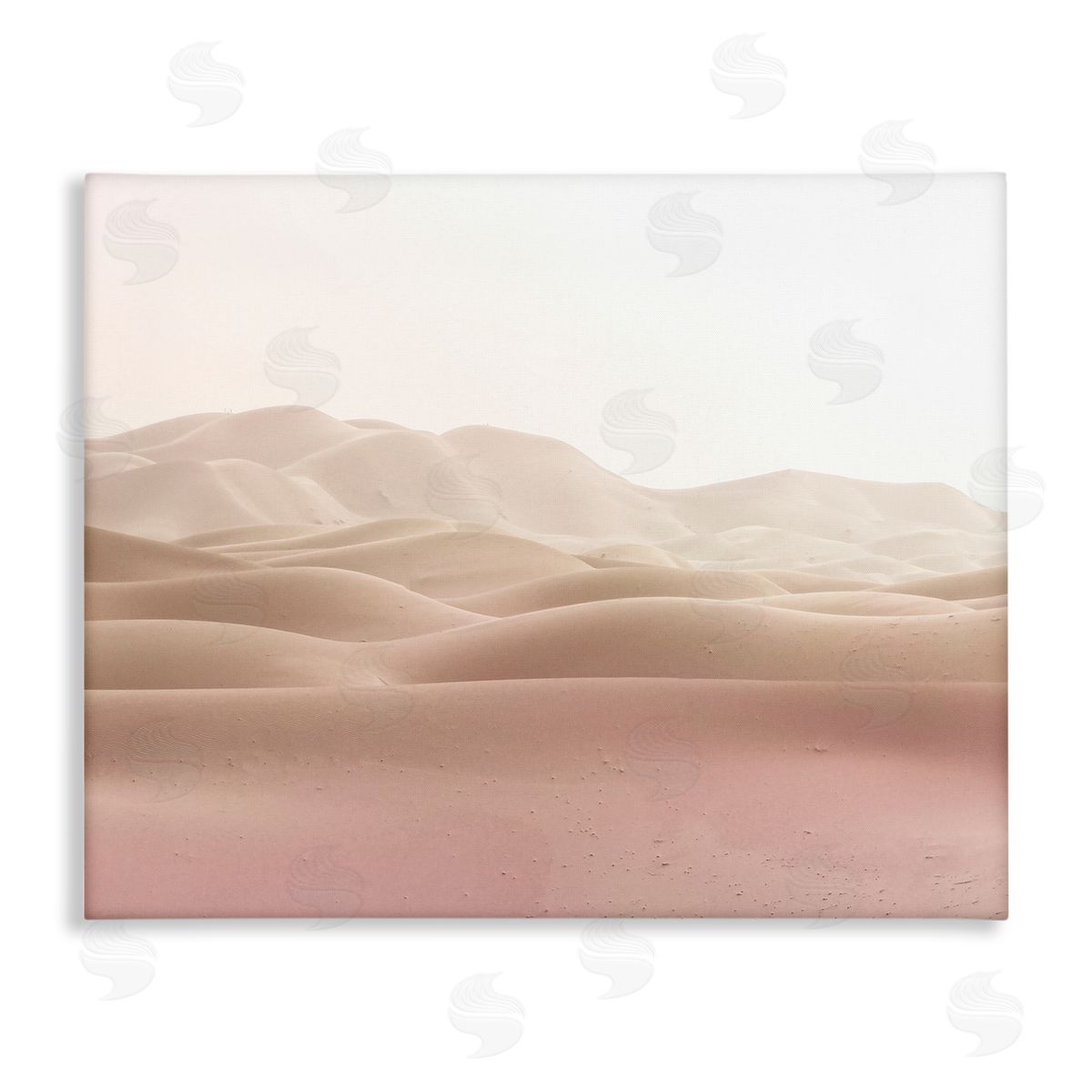 Kim Allen Desert Sand Dunes Landscape Beige White Sky