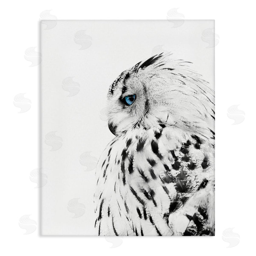 Design Fabrikken | Snow Owl Peering Blue Eyes