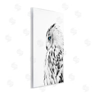 Design Fabrikken | Snow Owl Peering Blue Eyes