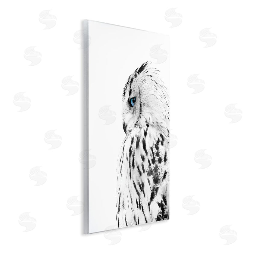 Design Fabrikken | Snow Owl Peering Blue Eyes