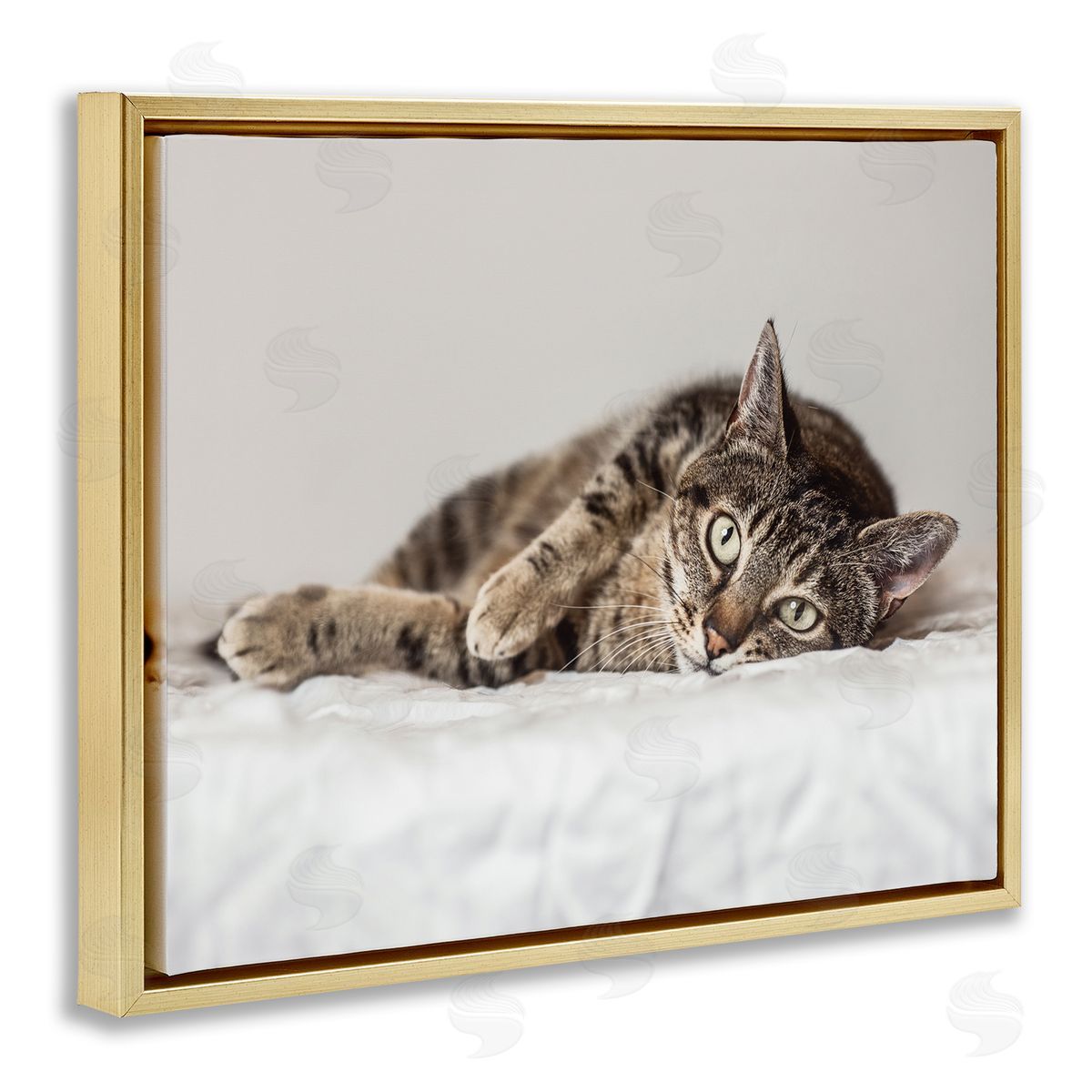 Marika Moffit Relaxed Pet Feline Cat Nap Green Eyes