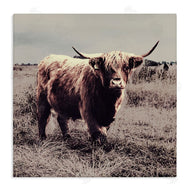 SD Graphics Studio | Farm Cattle Rustic Vintage Styling