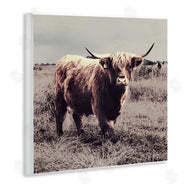 SD Graphics Studio | Farm Cattle Rustic Vintage Styling