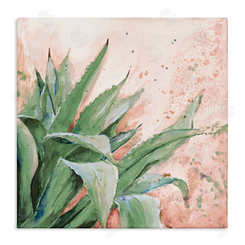 Patricia Pinto | Green Succulent Plant Leaves