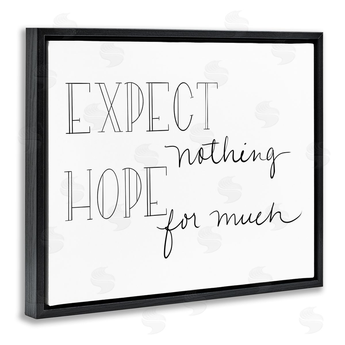 SD Graphics Studio Expect Nothing Hope for Much Encouraging Quote