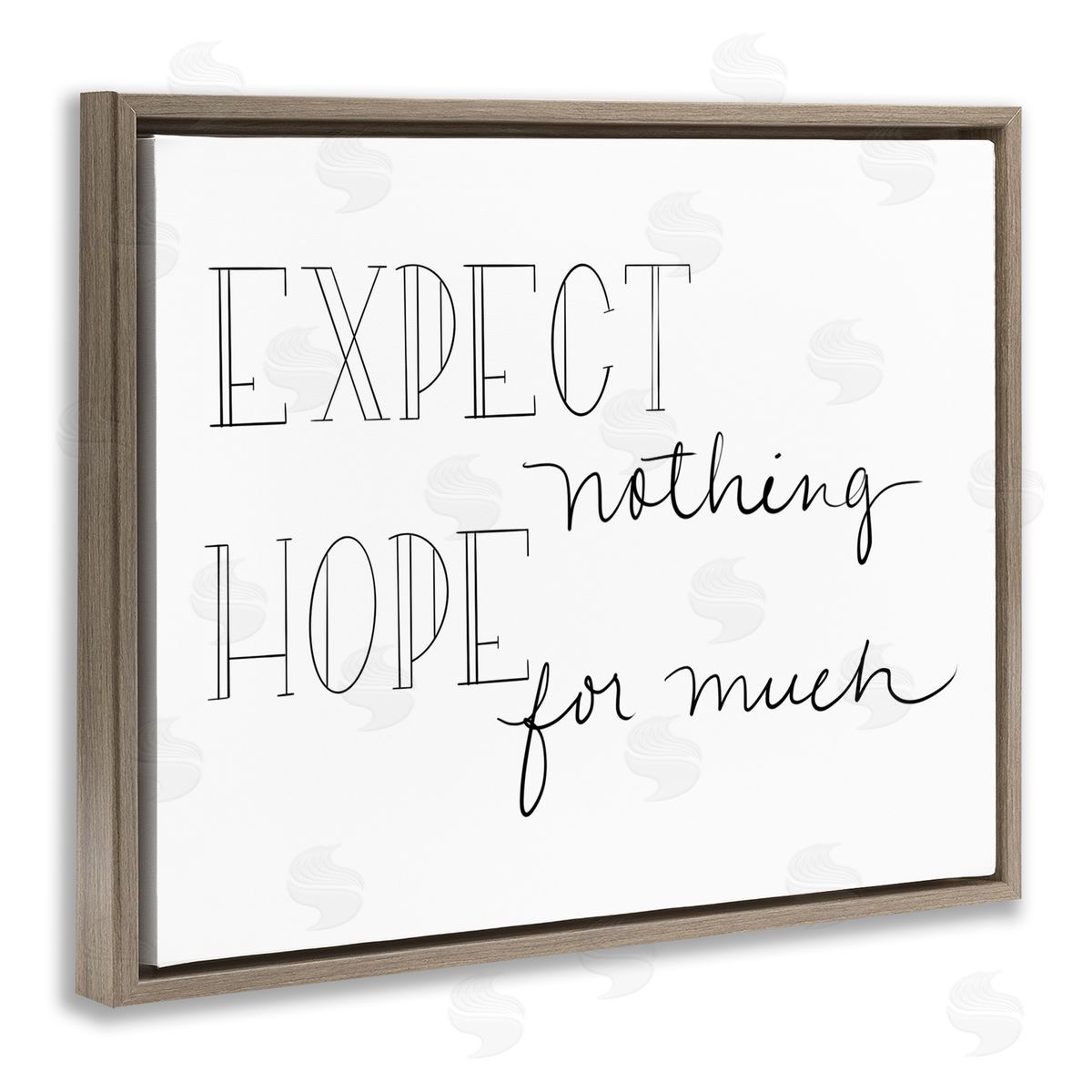 SD Graphics Studio Expect Nothing Hope for Much Encouraging Quote