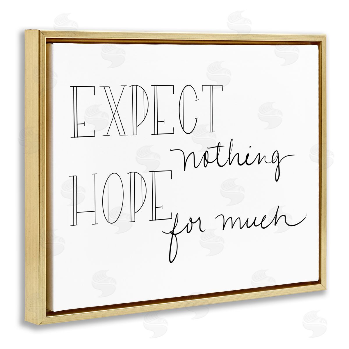 SD Graphics Studio Expect Nothing Hope for Much Encouraging Quote