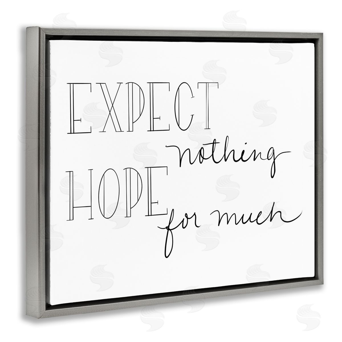 SD Graphics Studio Expect Nothing Hope for Much Encouraging Quote
