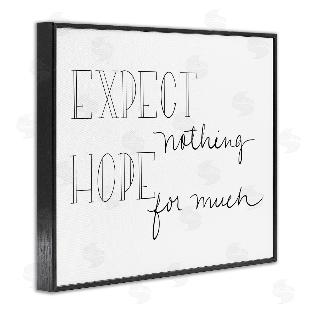 SD Graphics Studio Expect Nothing Hope for Much Encouraging Quote