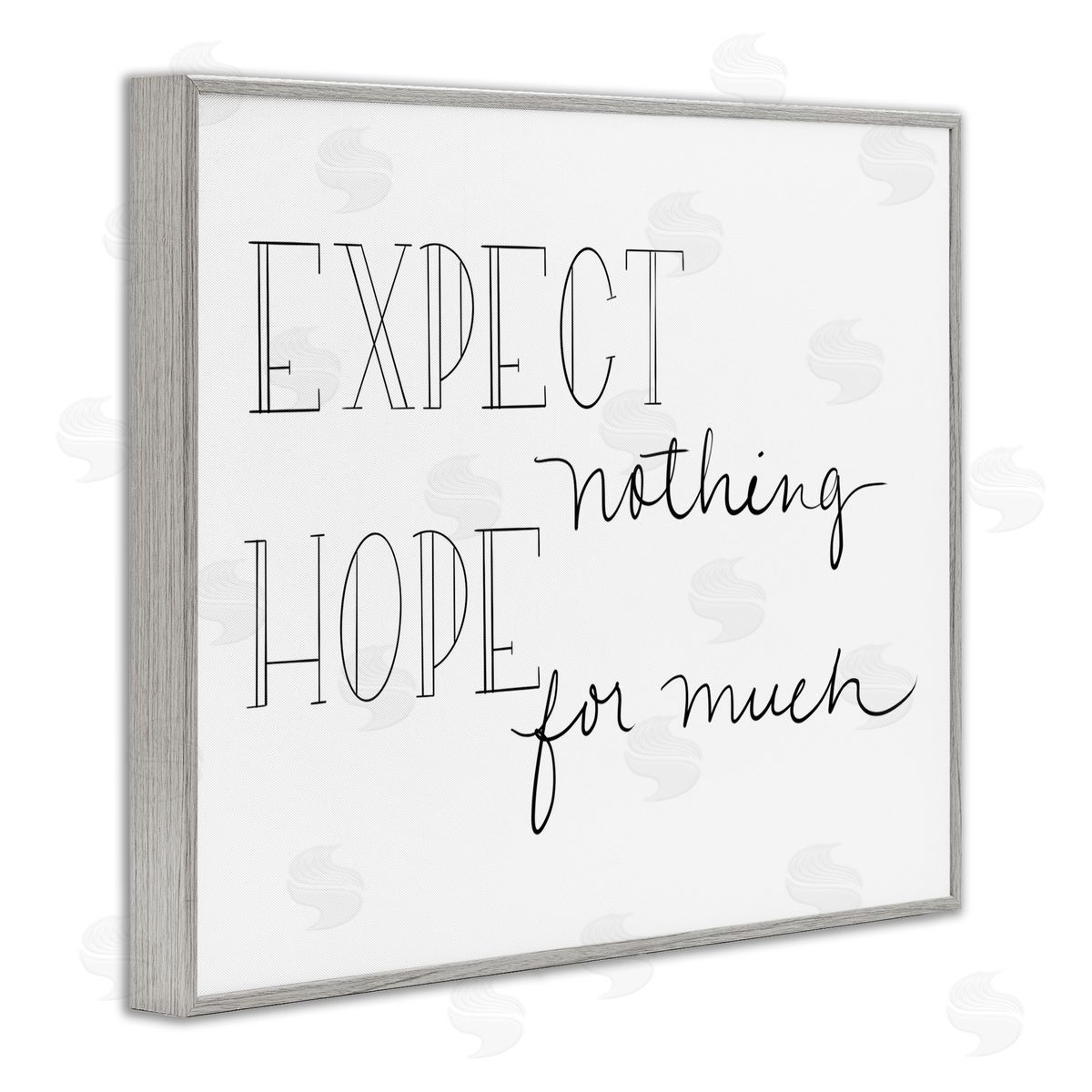 SD Graphics Studio Expect Nothing Hope for Much Encouraging Quote