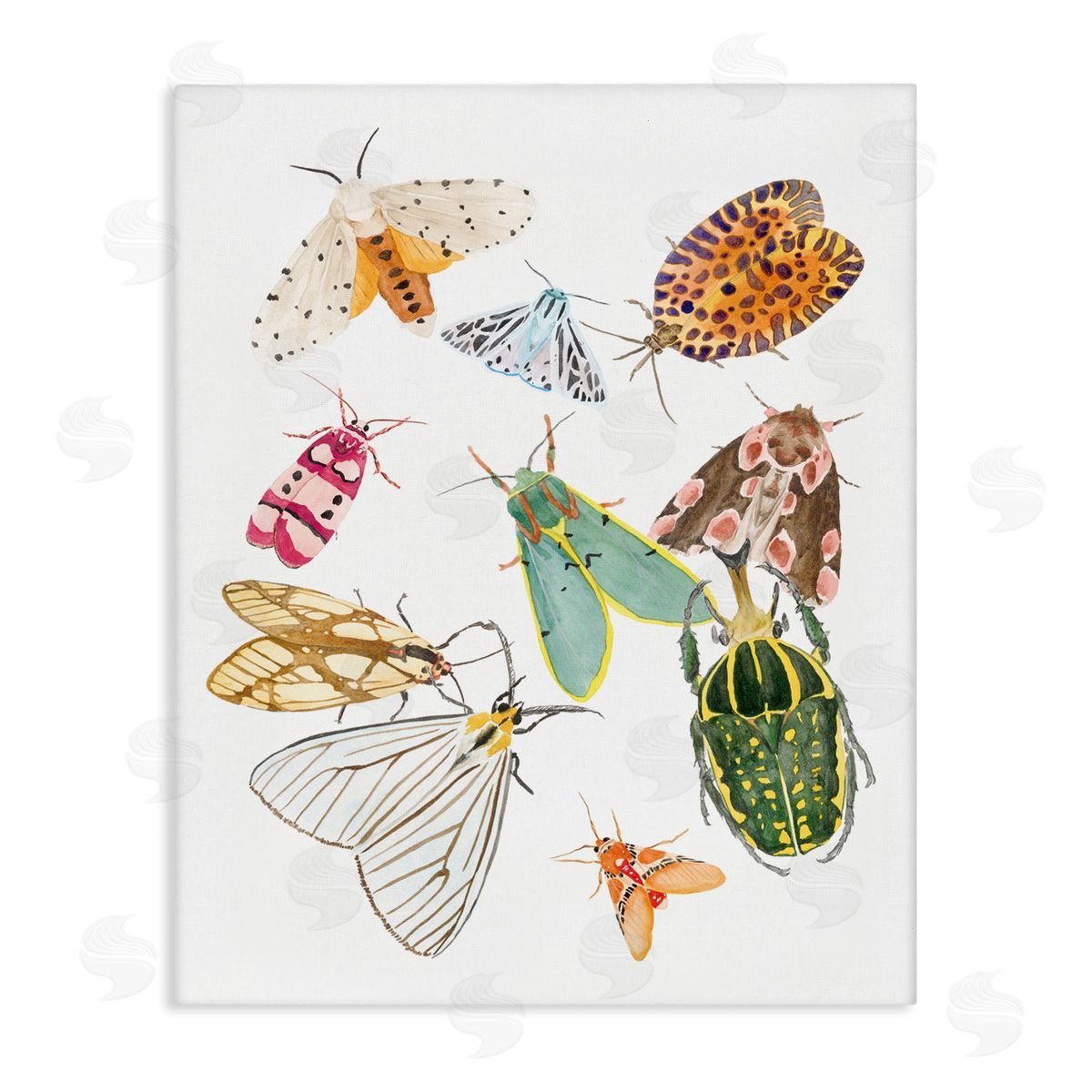 Melissa Wang Winged Insect Group Tropical Color Bugs