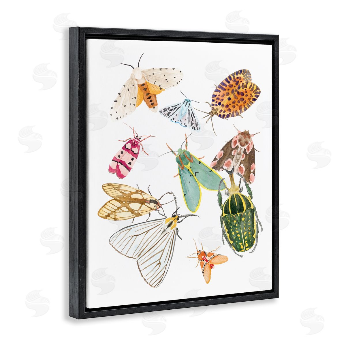 Melissa Wang Winged Insect Group Tropical Color Bugs