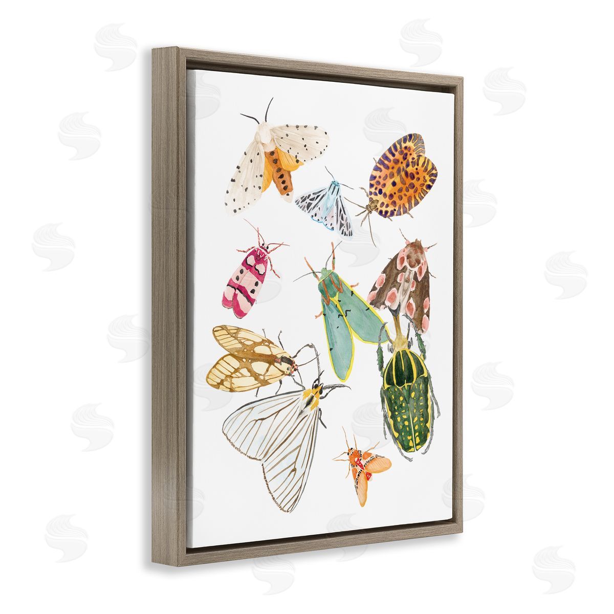 Melissa Wang Winged Insect Group Tropical Color Bugs