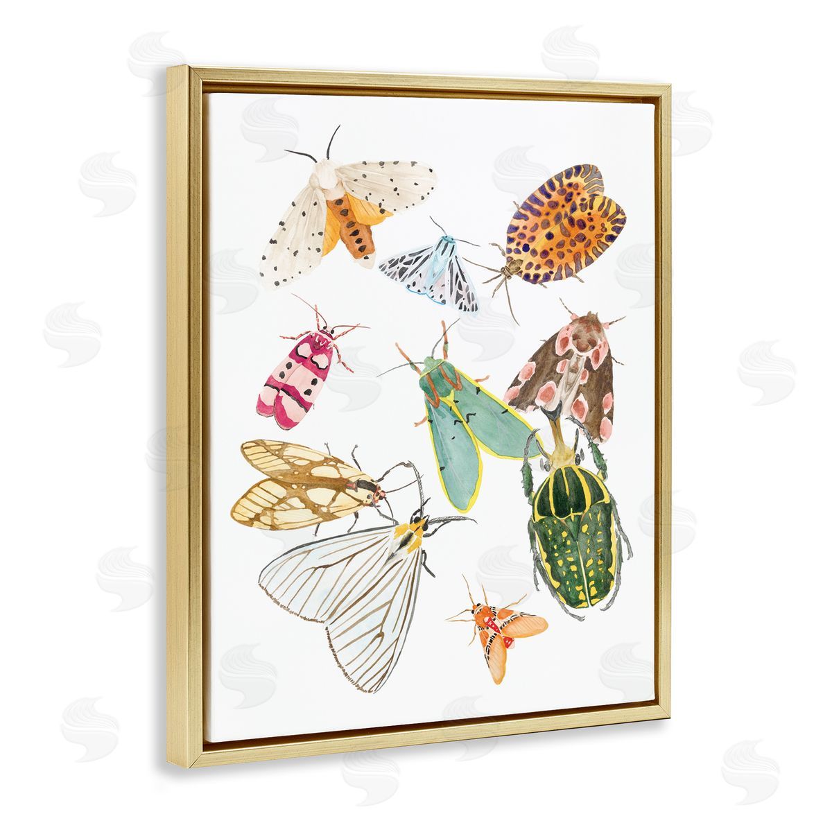 Melissa Wang Winged Insect Group Tropical Color Bugs
