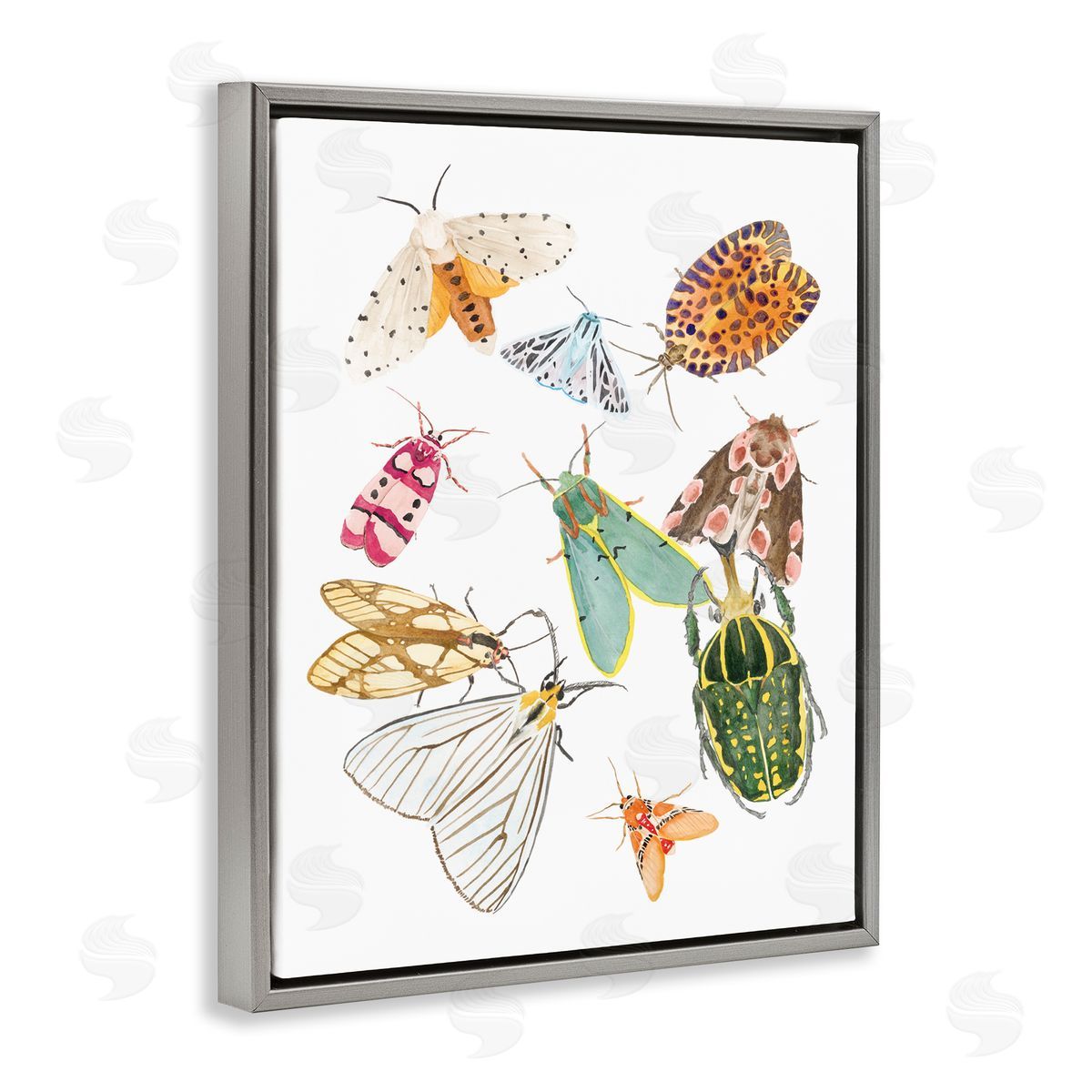 Melissa Wang Winged Insect Group Tropical Color Bugs