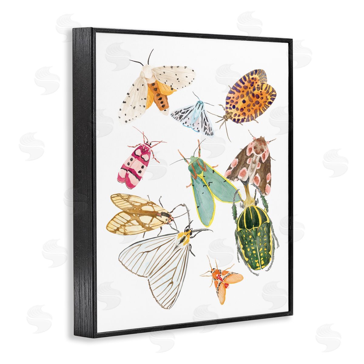 Melissa Wang Winged Insect Group Tropical Color Bugs