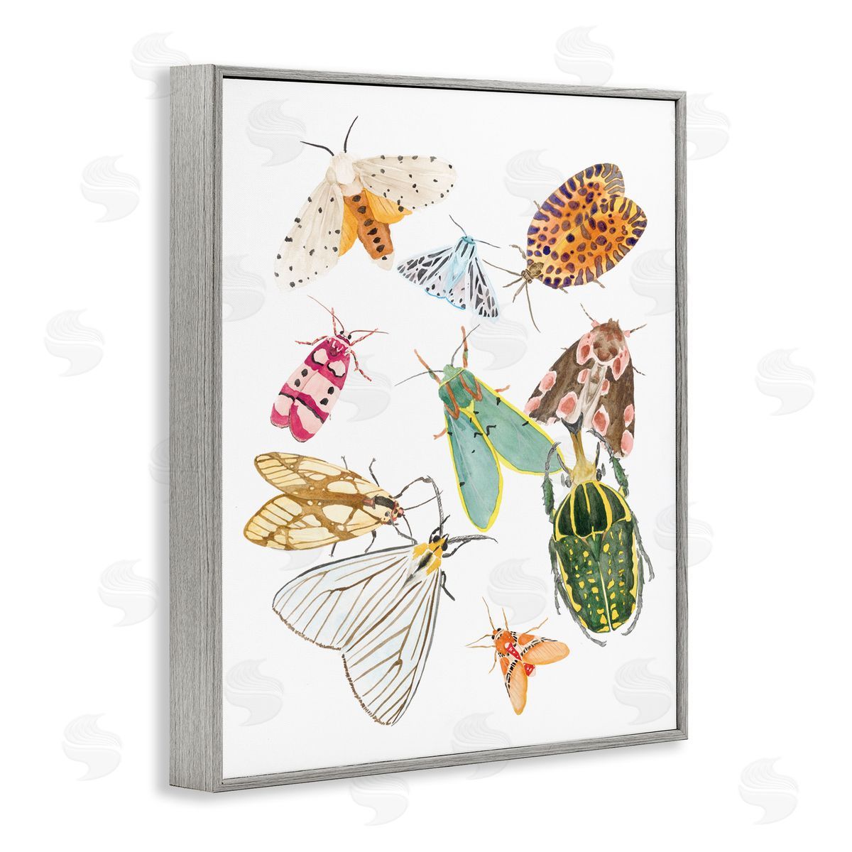 Melissa Wang Winged Insect Group Tropical Color Bugs