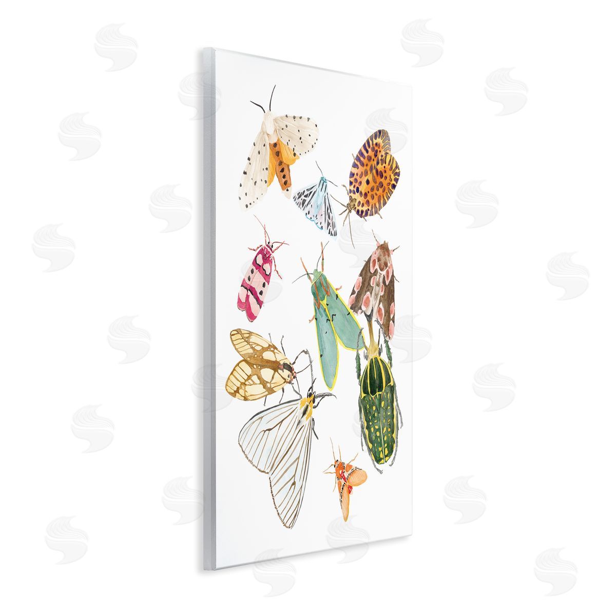 Melissa Wang Winged Insect Group Tropical Color Bugs