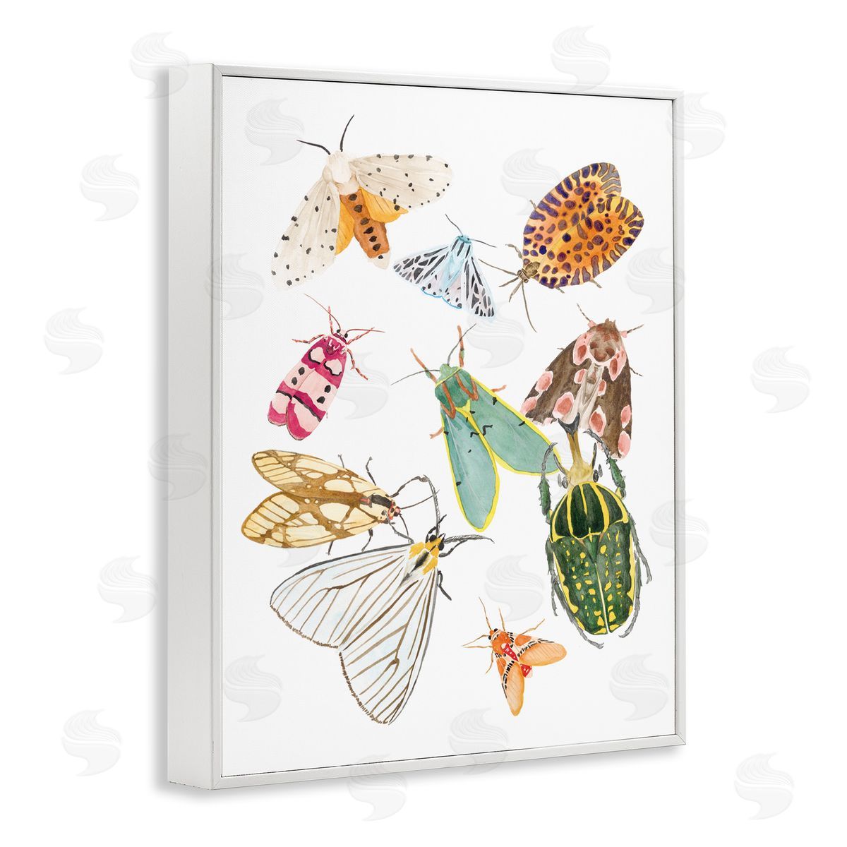 Melissa Wang Winged Insect Group Tropical Color Bugs