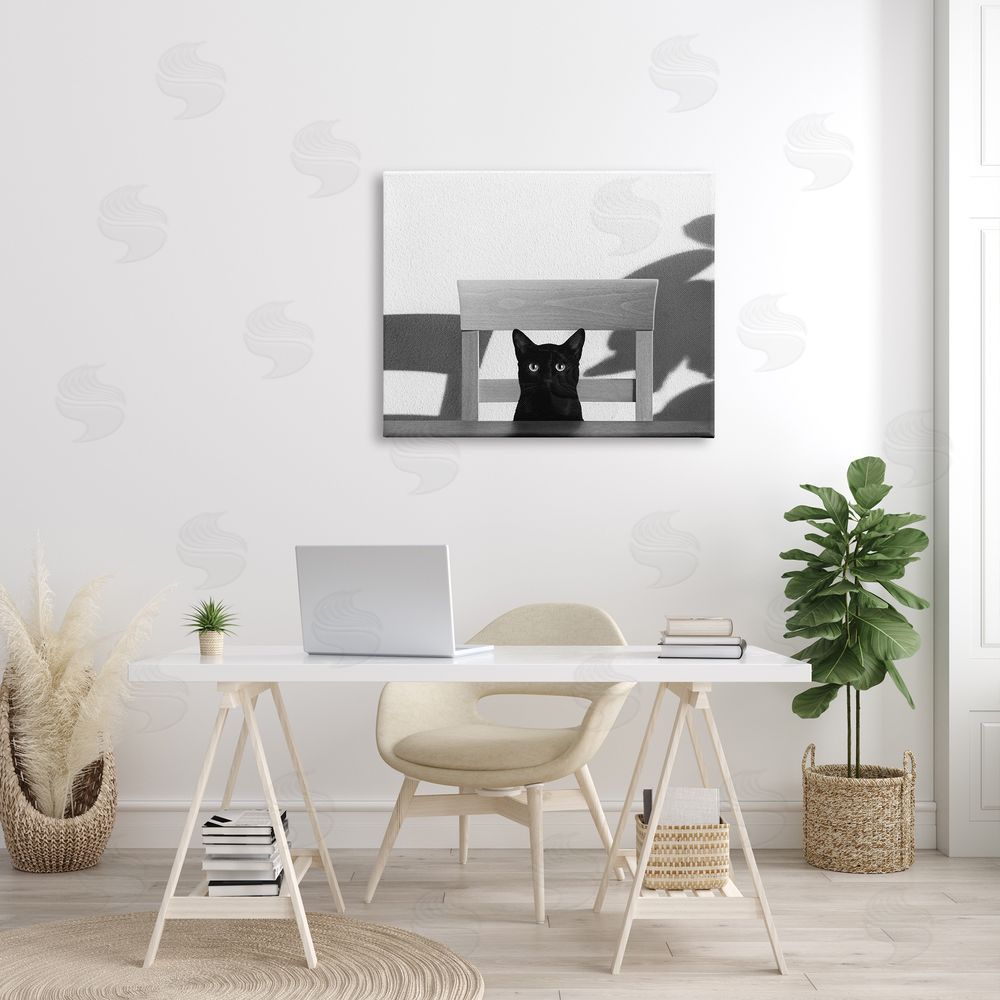 Jon Bertelli Black Cat at Kitchen Table Pet Animal Photograph