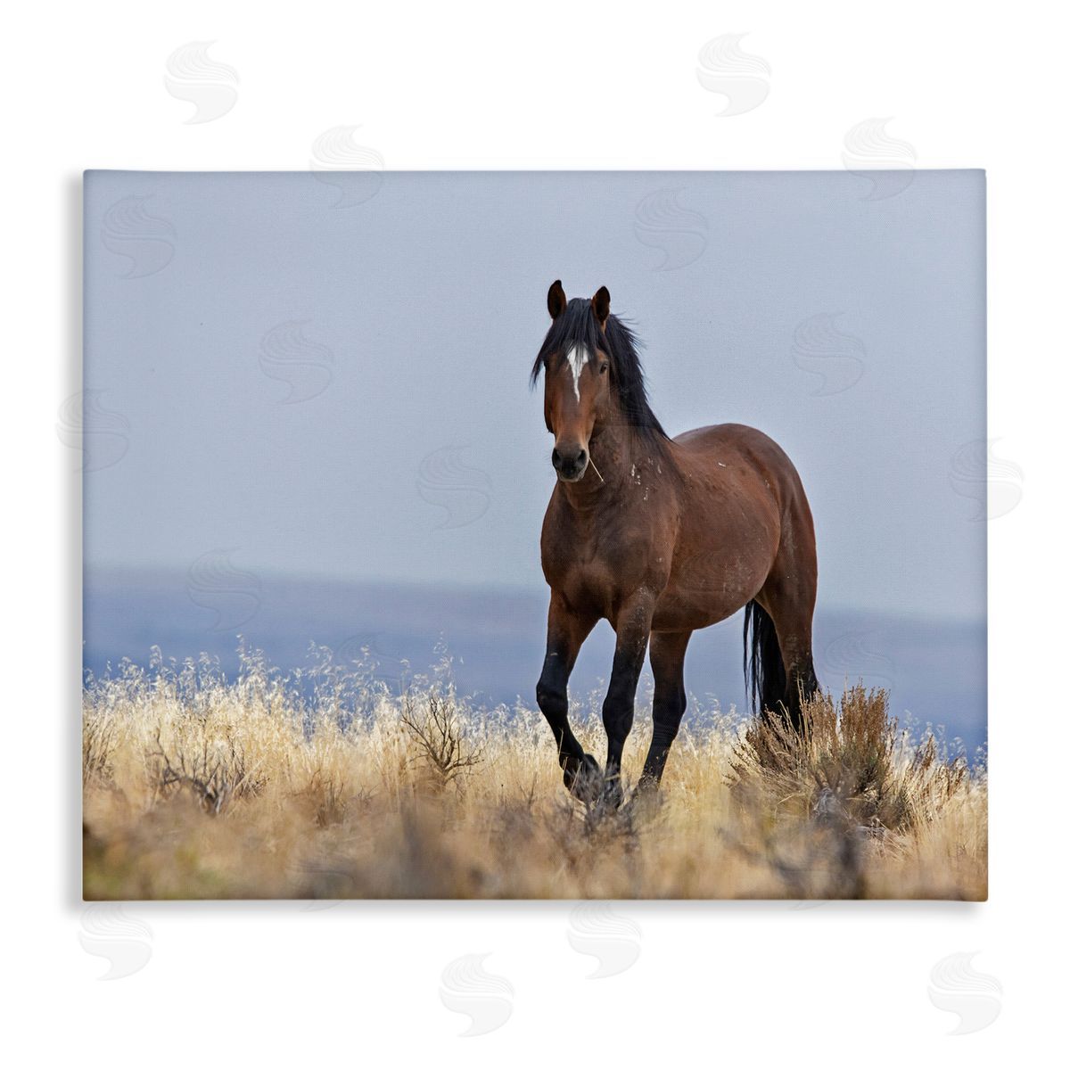 Larry McFerrin Equestrian Horse in Wild Countryside Soft Blue Sky