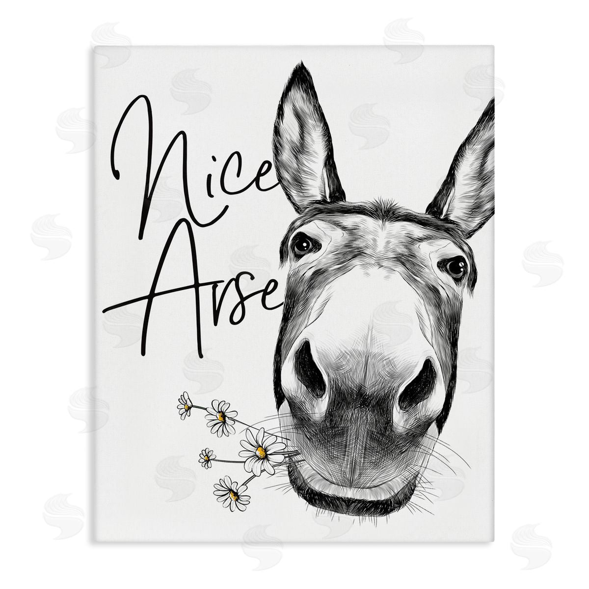 Nice Arse Donkey Pun Canvas Wall Art, Home Decor by Lettered and Lined