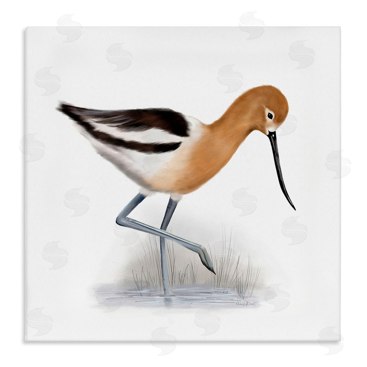 Studio Q Orange Feathered Avocet Wetland Bird Long Beak Stretched Canvas Wall Art Print