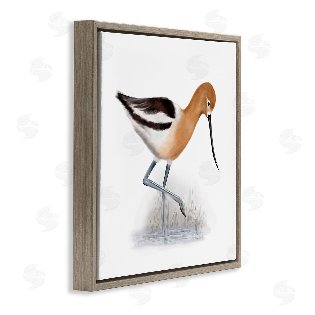 Studio Q Orange Feathered Avocet Wetland Bird Long Beak Brown Floating Frame Canvas Wall Art Print