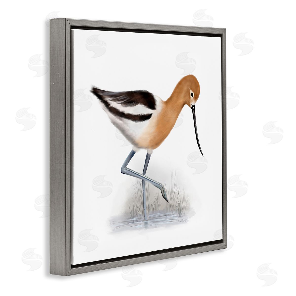 Studio Q Orange Feathered Avocet Wetland Bird Long Beak Gray Floating Frame Canvas Wall Art Print