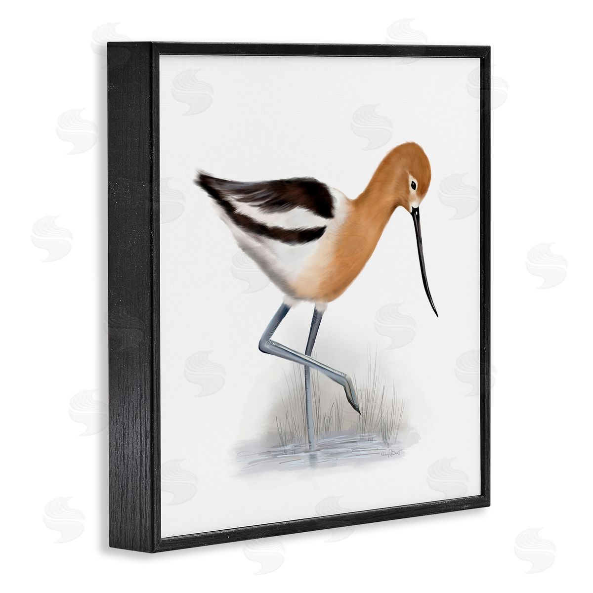 Studio Q Orange Feathered Avocet Wetland Bird Long Beak Black Framed Glicee Wall Art Print
