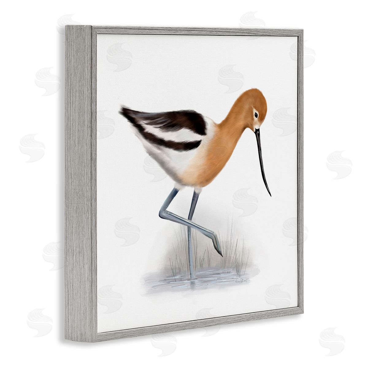 Studio Q Orange Feathered Avocet Wetland Bird Long Beak Gray Framed Glicee Wall Art Print