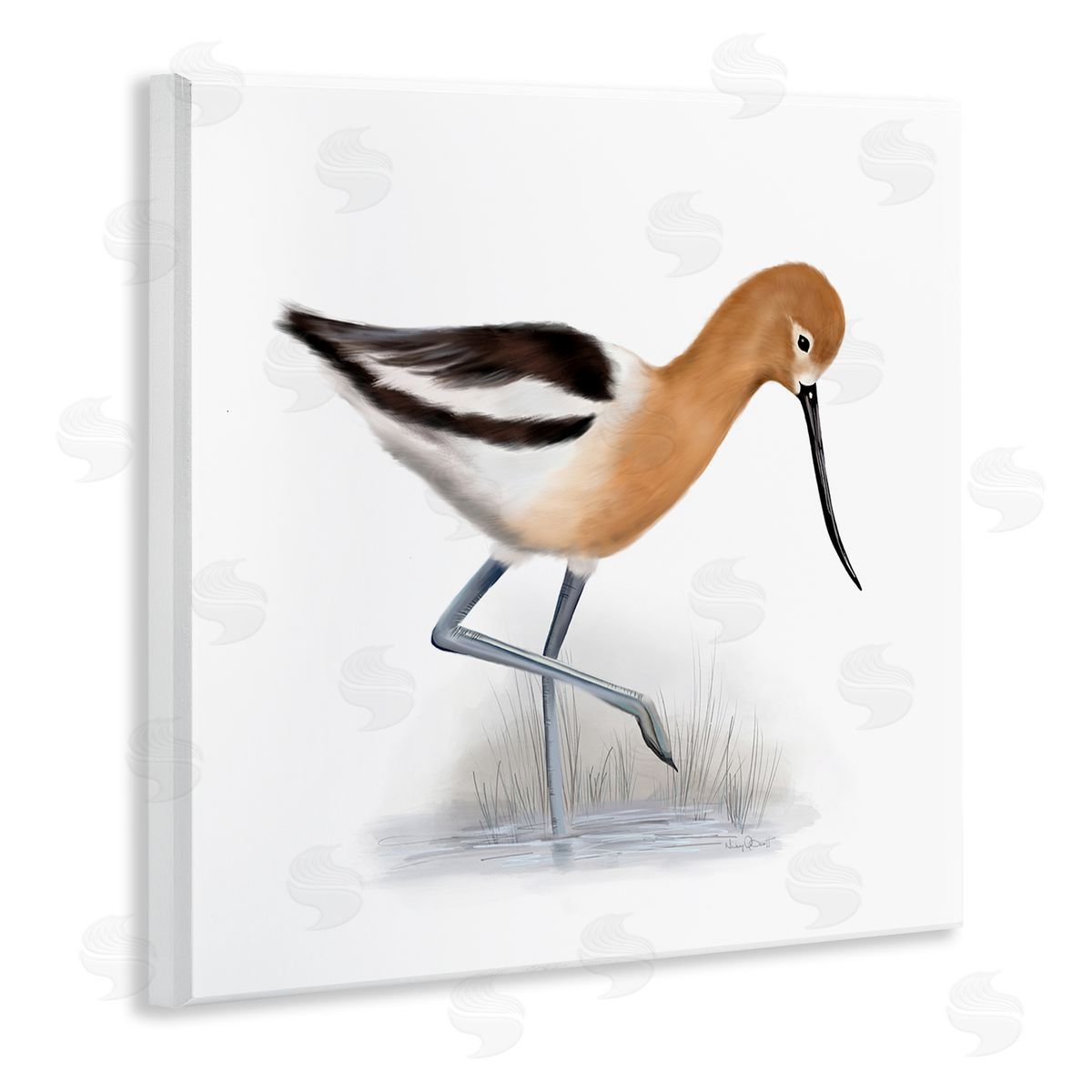 Studio Q Orange Feathered Avocet Wetland Bird Long Beak Wooden Wall Plaque Art Print