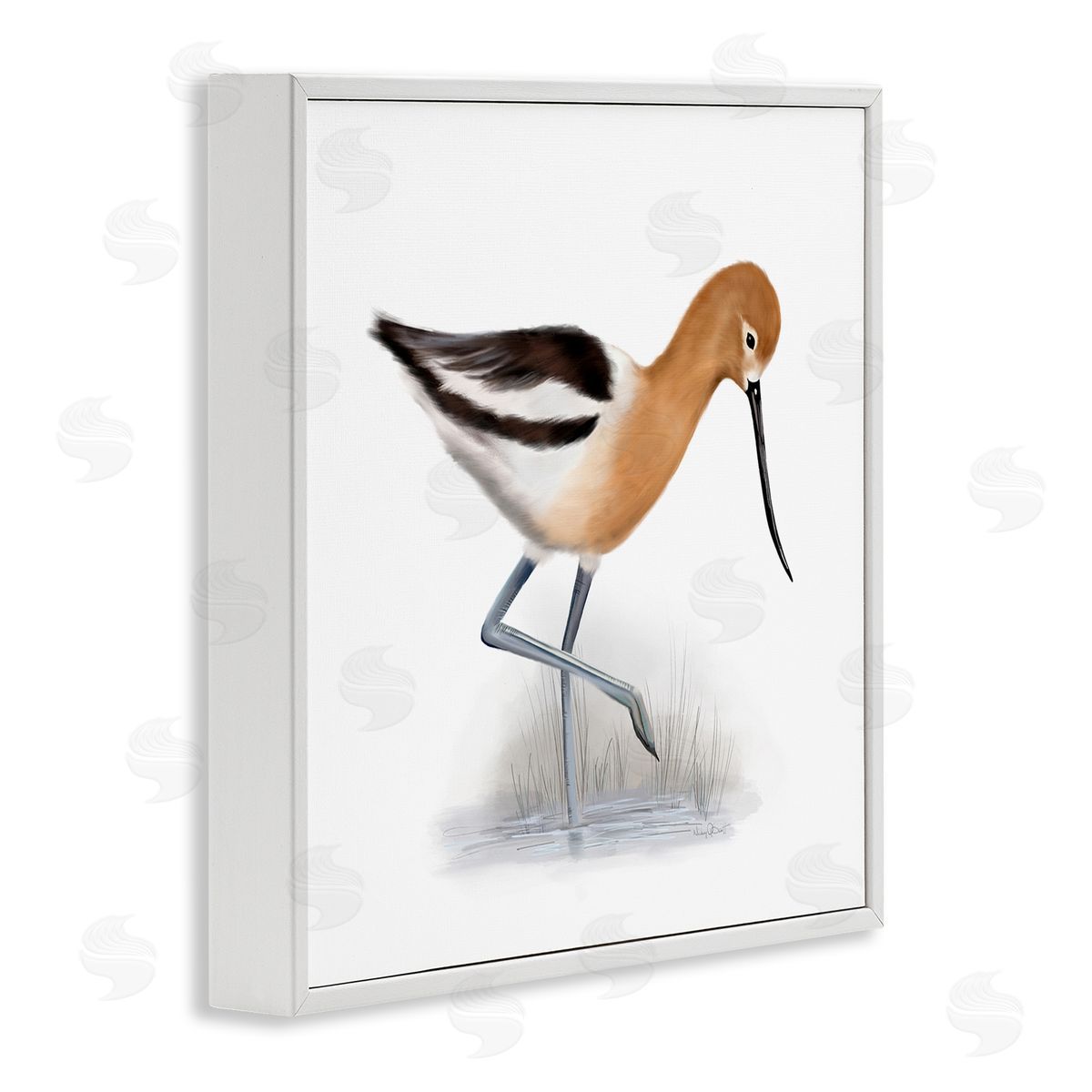 Studio Q Orange Feathered Avocet Wetland Bird Long Beak White Framed Glicee Wall Art Print