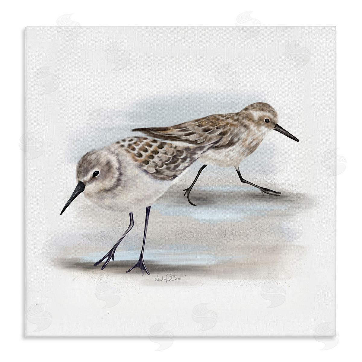 Sandpiper Pair on Sandy Beach Canvas Wall Art, Home Decor by Studio Q