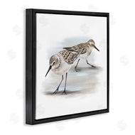 Studio Q | Sandpiper Pair on Sandy Beach