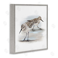 Studio Q | Sandpiper Pair on Sandy Beach