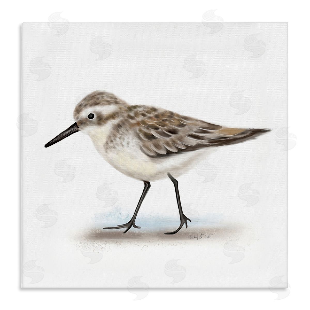 Studio Q Nautical Sandpiper Bird on Sand Speckled Feathers Stretched Canvas Wall Art Print