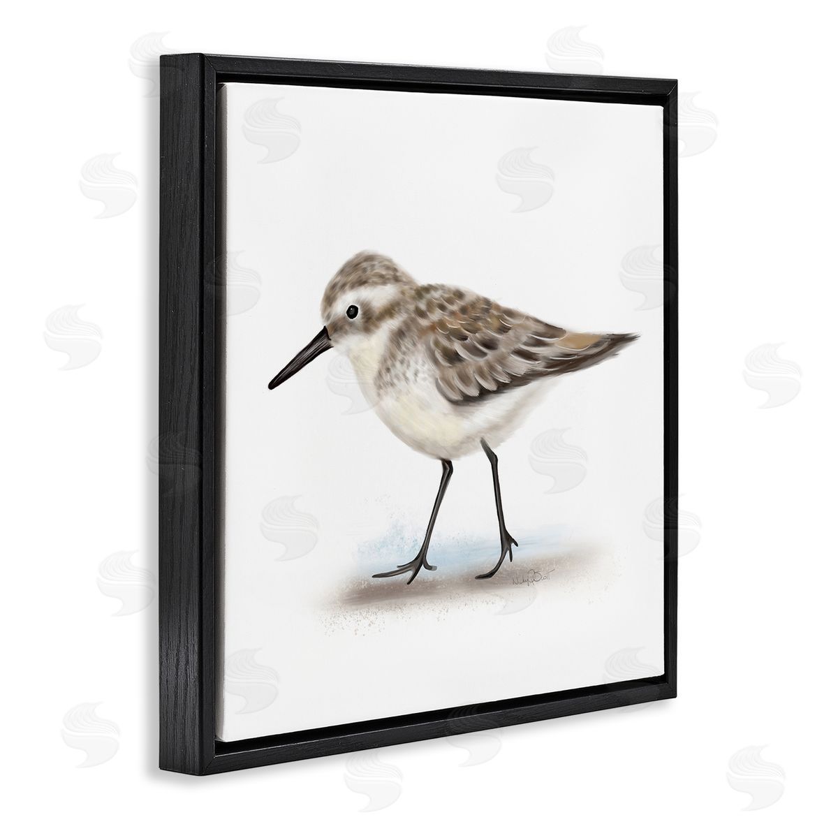 Studio Q Nautical Sandpiper Bird on Sand Speckled Feathers Black Floating Frame Canvas Wall Art Print