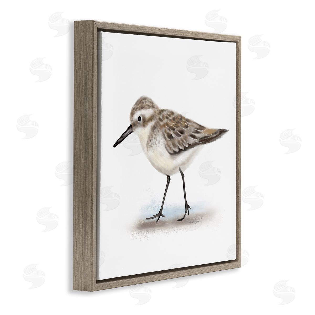 Studio Q Nautical Sandpiper Bird on Sand Speckled Feathers Brown Floating Frame Canvas Wall Art Print